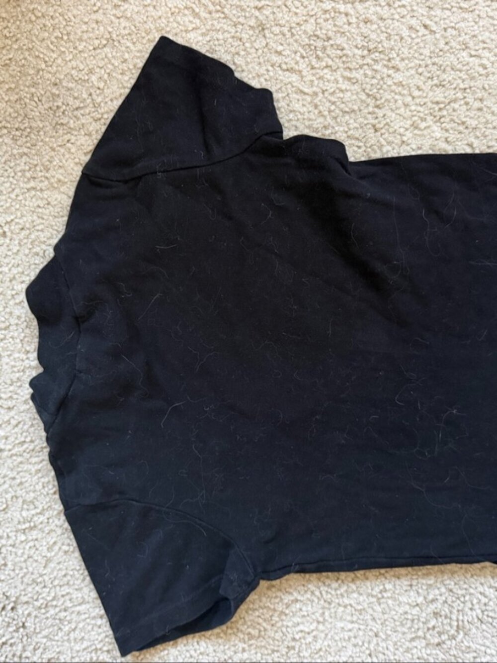 Brandy Melville Black Dragon Embroidered Baby Tee - Y2K Crop Top